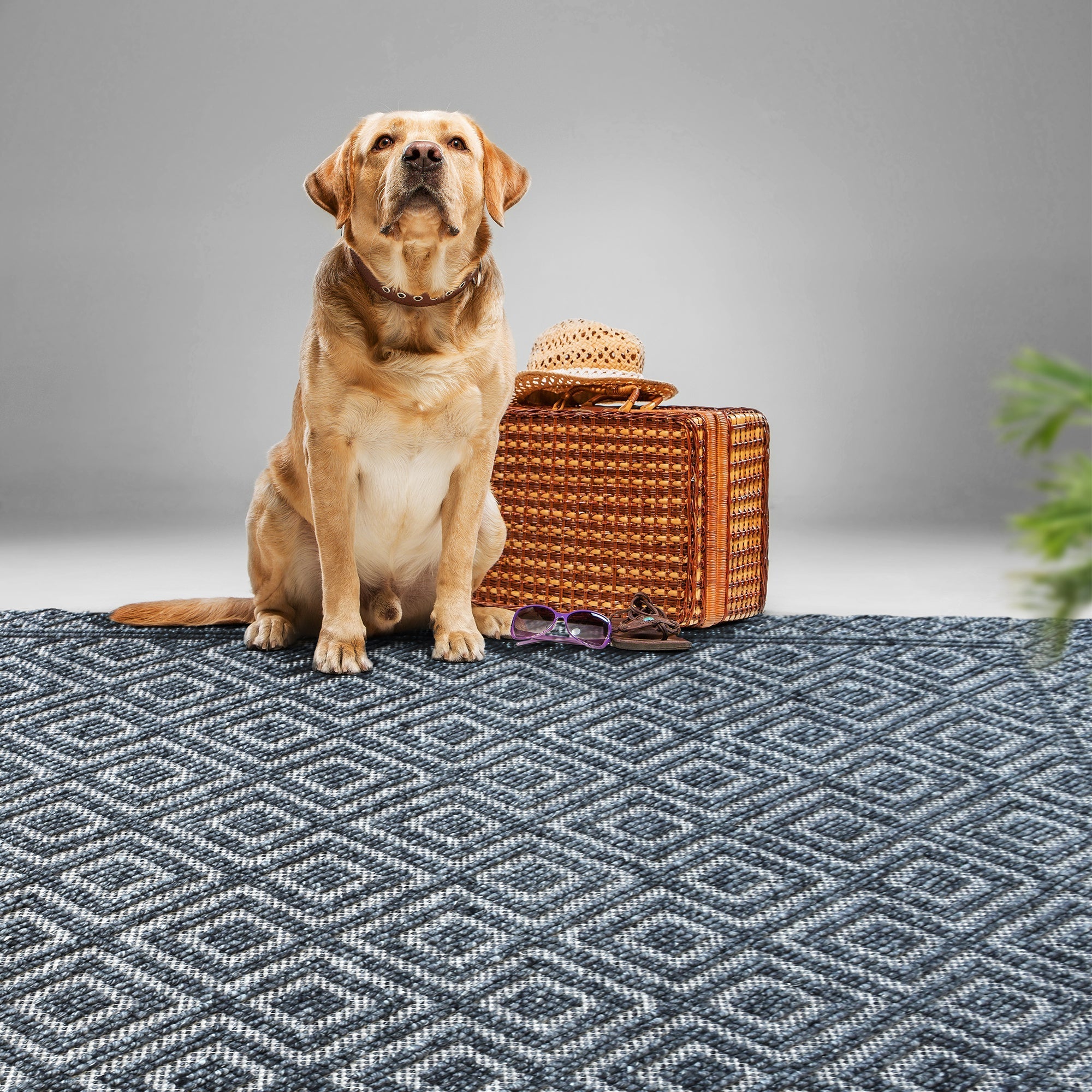 CONON RUG - Wool / Viscose Mix