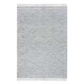Area Rug, Bedroom Rug, Living Room Rug, Living Area Rug, Indian Rug, Office Carpet, Office Rug, Shop Rug Online, Hemp, Wool, Lt. Grey, Punja, Flat Weave, Textured